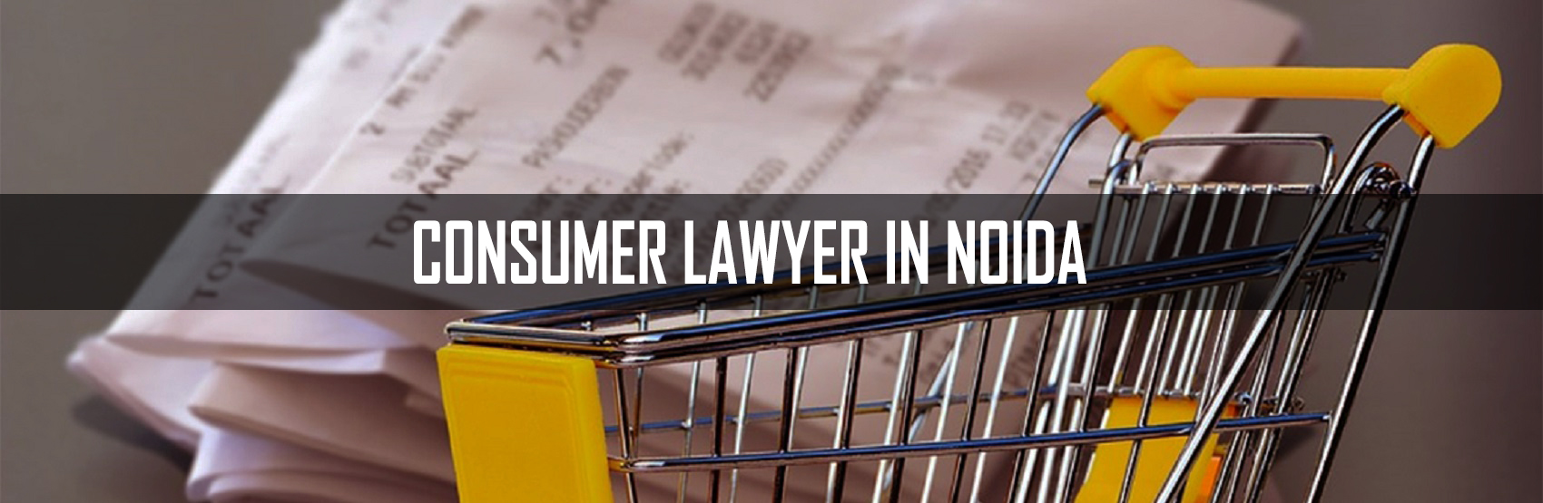 Consumer Lawyer in Noida, Greater Noida, Ghaziabad, Meerut & Hapur